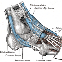 Touchthebitum